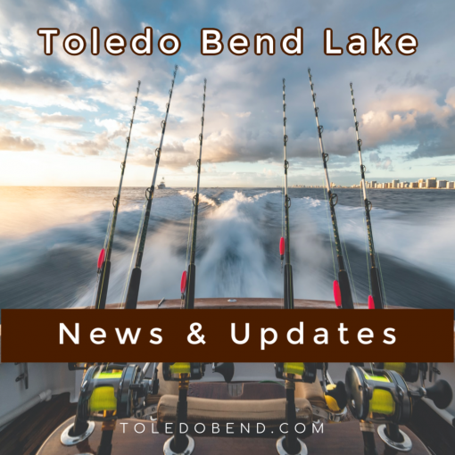 Toledo Bend Lake News Texas State Park Day Use Reservations & Updates