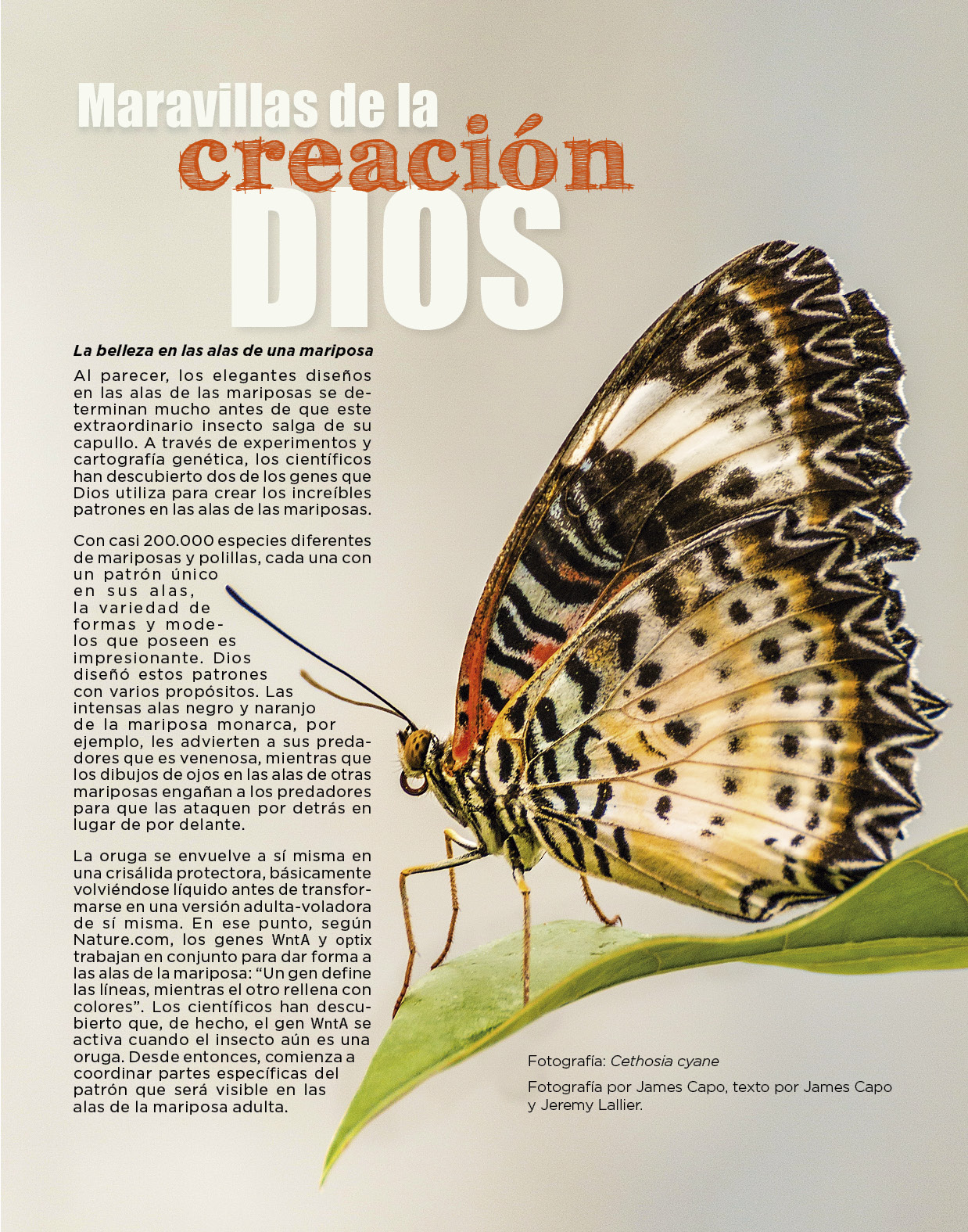 Mariposa