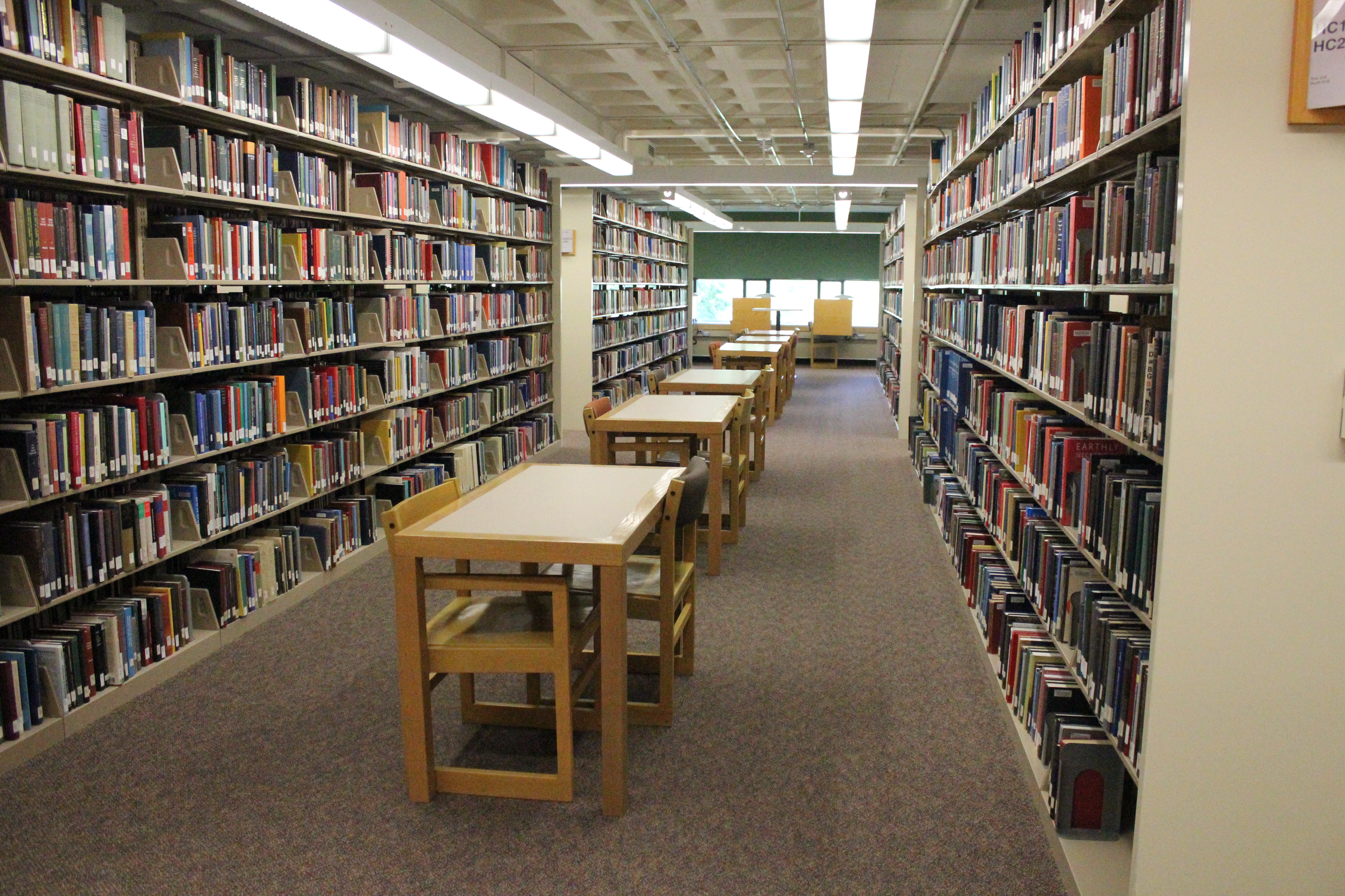 Carleton thesis library image