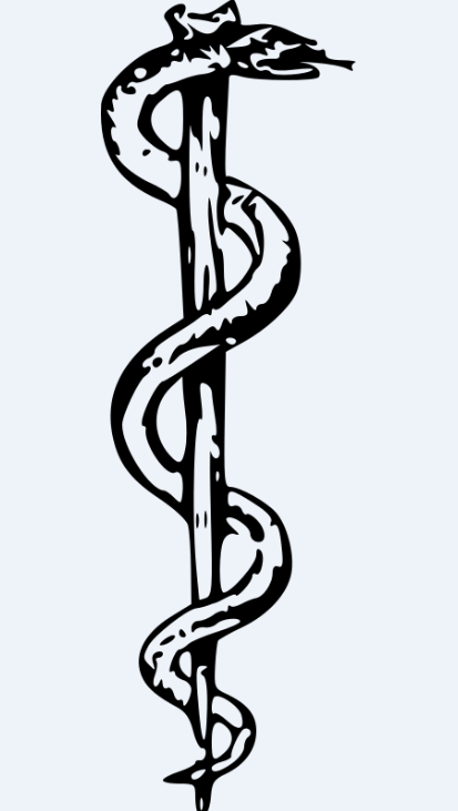 Picture of the Rod of Asc