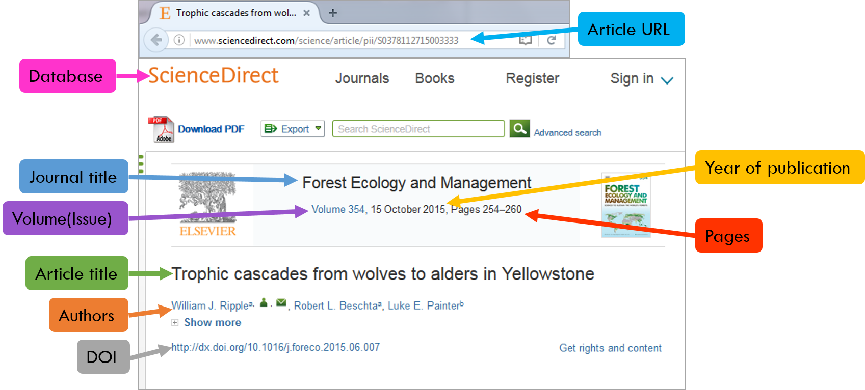 CSE Citations Citation Guides Subject &amp; Class Guides