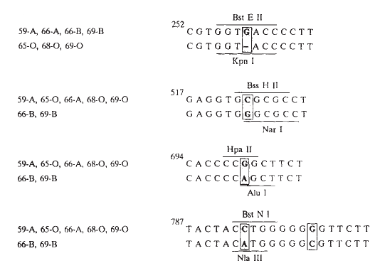 Recognizing differences essay 08 picture
