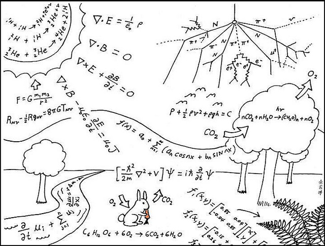Everyday Physics drawing