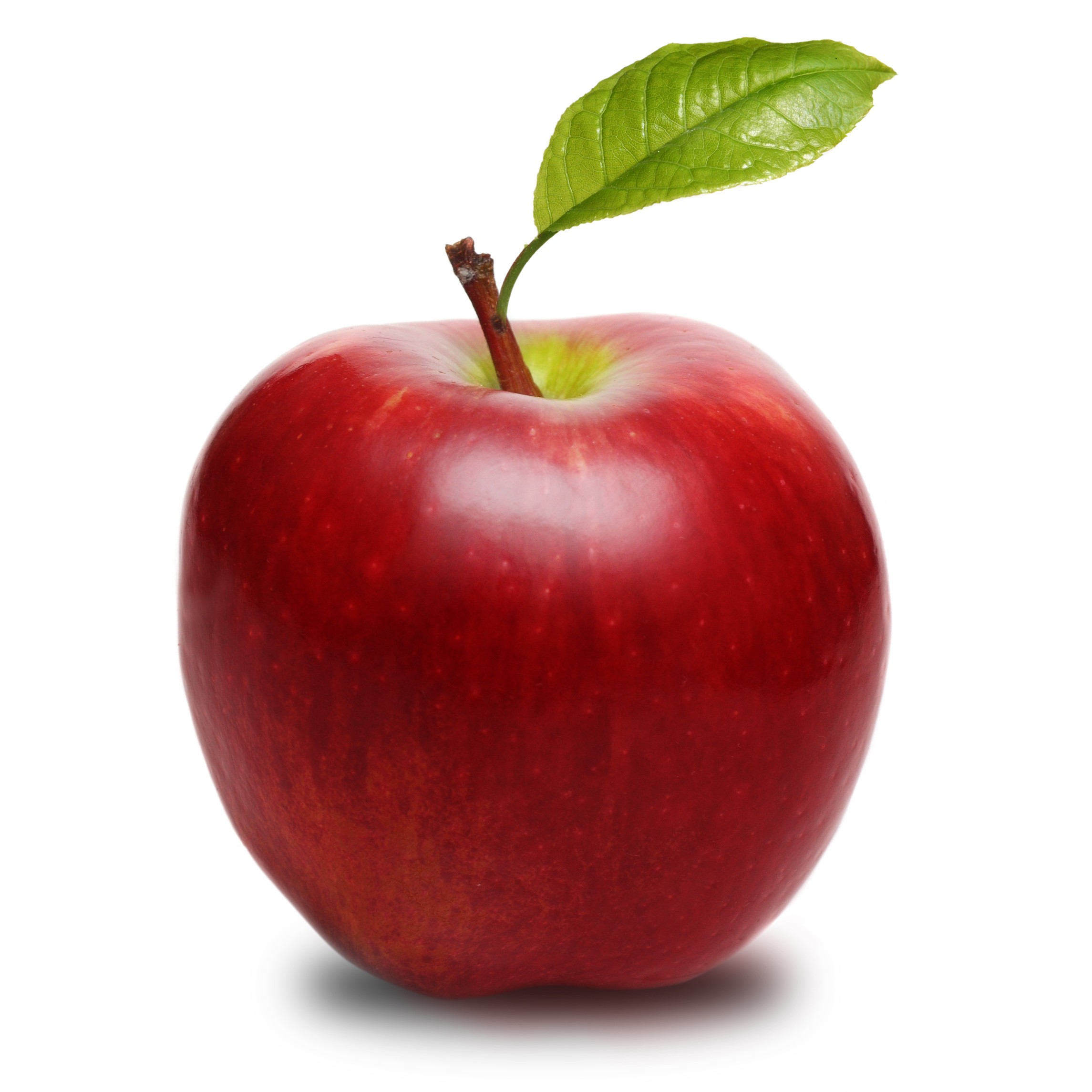 picture of an apple
