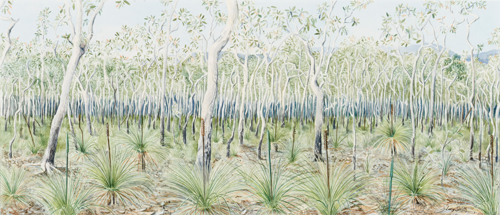 The Melaleuca Woodlands, by Lucy T Smith