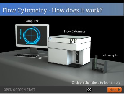 Video Screenshot [Image source: Oregon State University, Open Oregon State http://open.oregonstate.edu/modules/]