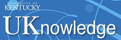 Uky electronic dissertation image