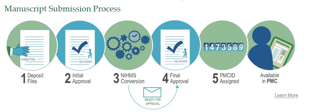 manuscript submission process steps