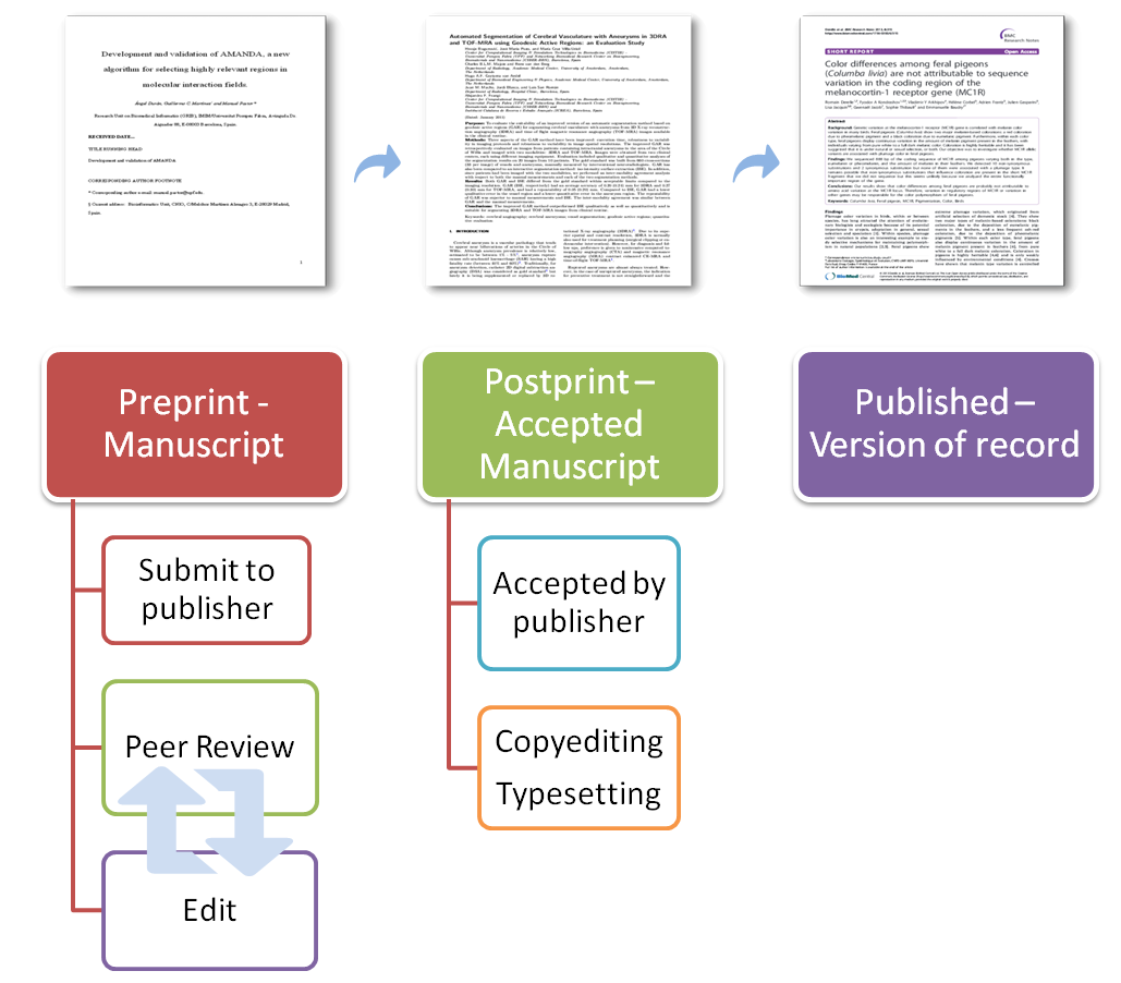 How to publish a journal image