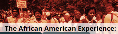 African American Experience Database