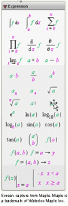 Image of the expressions palette in Maple Software