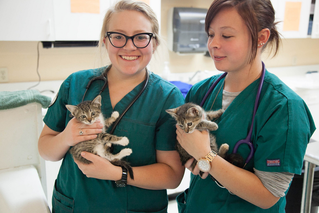 Vet Tech Careers