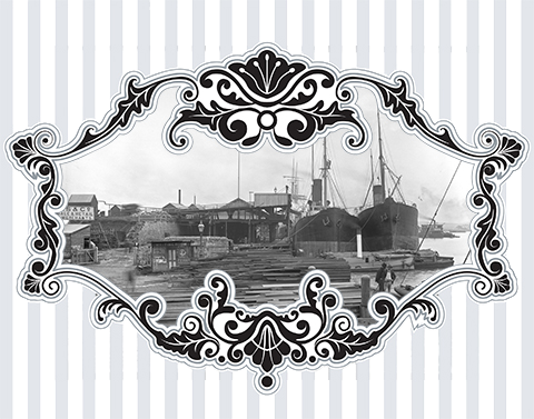  Australian Agricultural Company Wharf, Newcastle, NSW, 23 September 1897