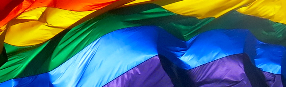 Rainbow flag by Mendolus Shank (2013)