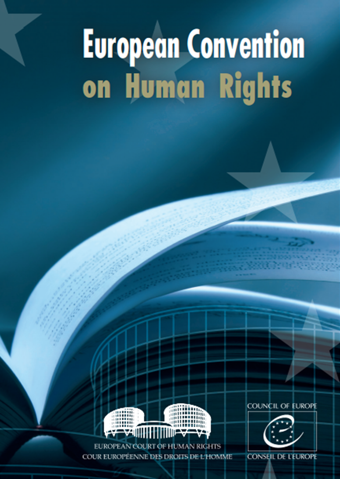 European Court Of Human Rights Find Cases LibGuides At Dublin City 