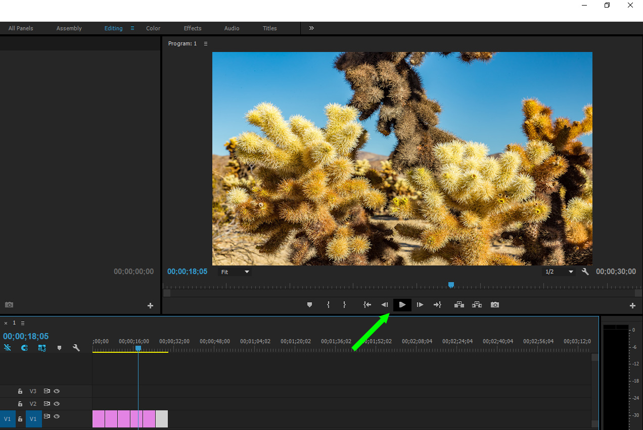 Play button in the program panel