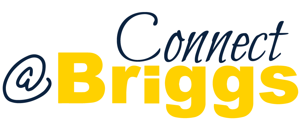 Connect @Briggs Logo