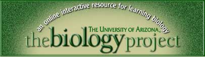 The biology project at the University of Arizona