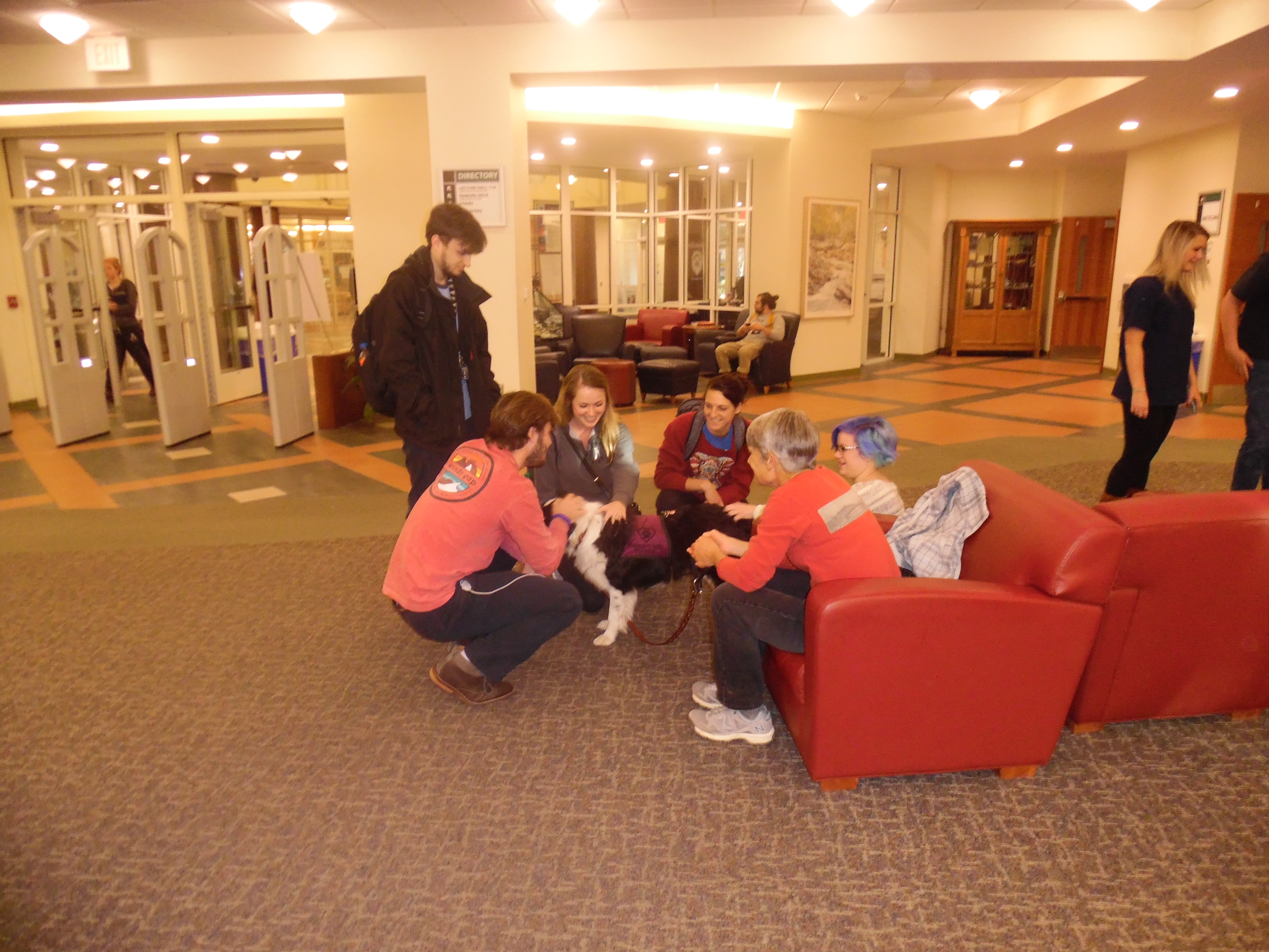 Photos - Library Cares - LibGuides at Appalachian State University