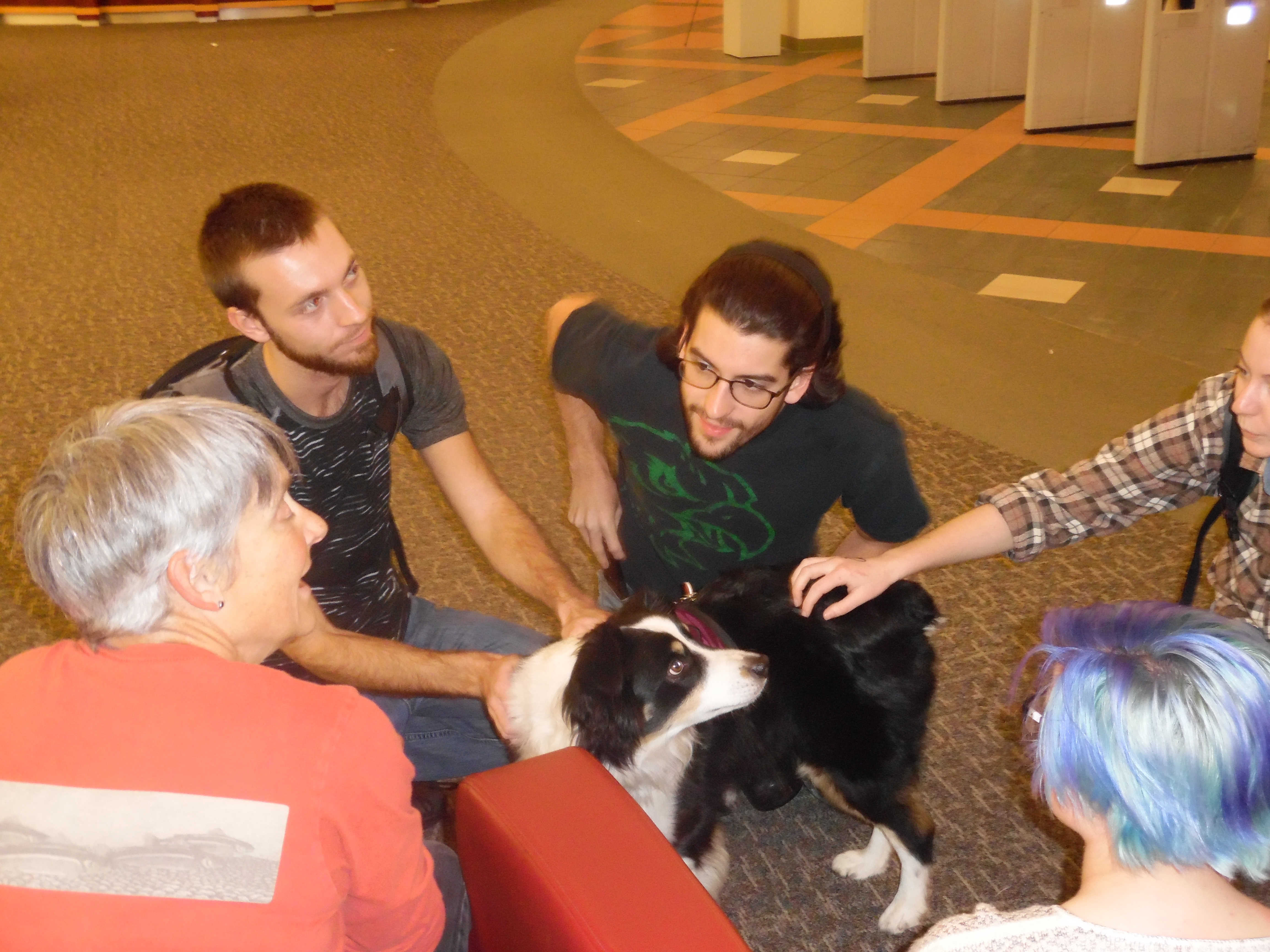 Photos - Library Cares - LibGuides at Appalachian State University