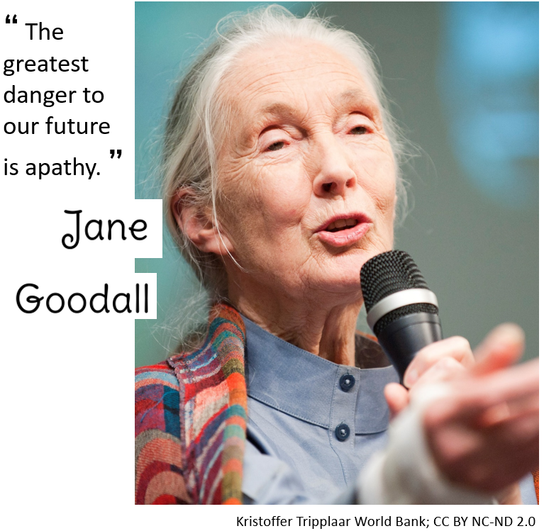 photo of Jane Goodall
