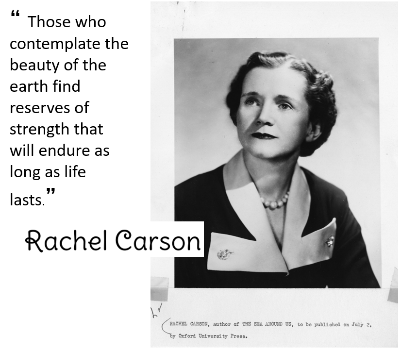 photo of Rachel Carson