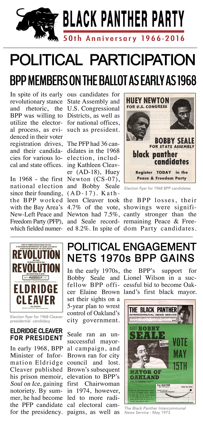 Black panther research paper image