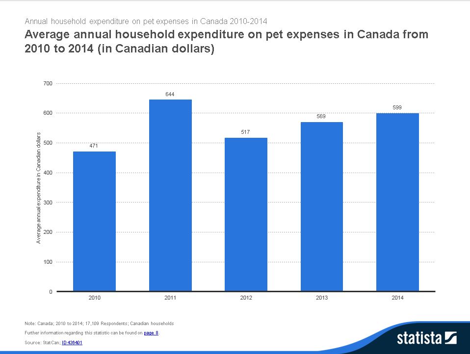 Statista report essay image