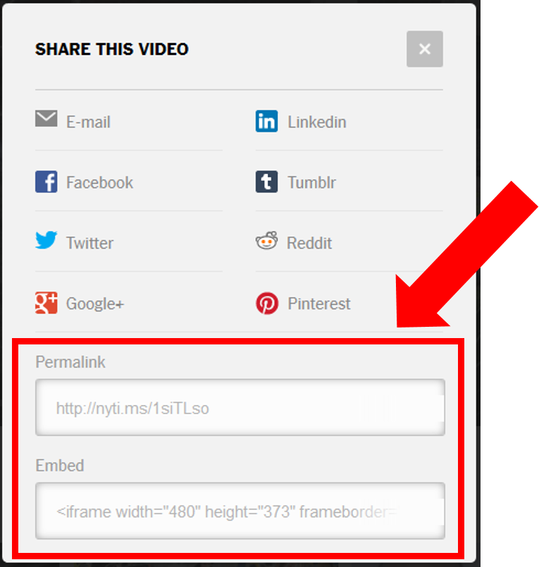 More options for sharing a video on NYTimes.com