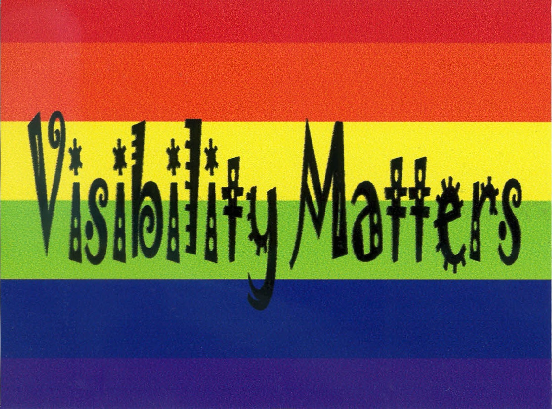 visibility matters text on pride flag