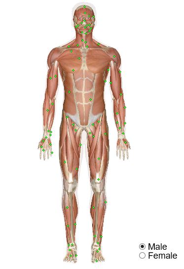 HPE - Motor Learning - Westcourt iCentre - LibGuides at Ambrose Treacy