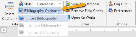 Microsoft Word screenshot with an arrow pointing to the RefWorks Bibliography Options link.