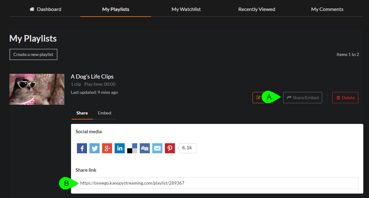 Screenshot of Kanopy playlist