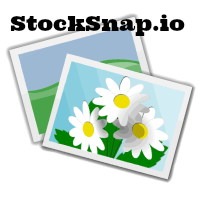 Stock Snap Image Collection