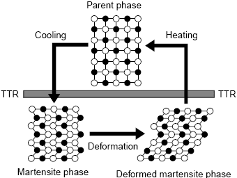 Shape memory alloy stages