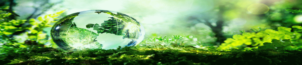 Streaming videos on sustainability