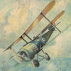 Front cover of book showing old style plane flying