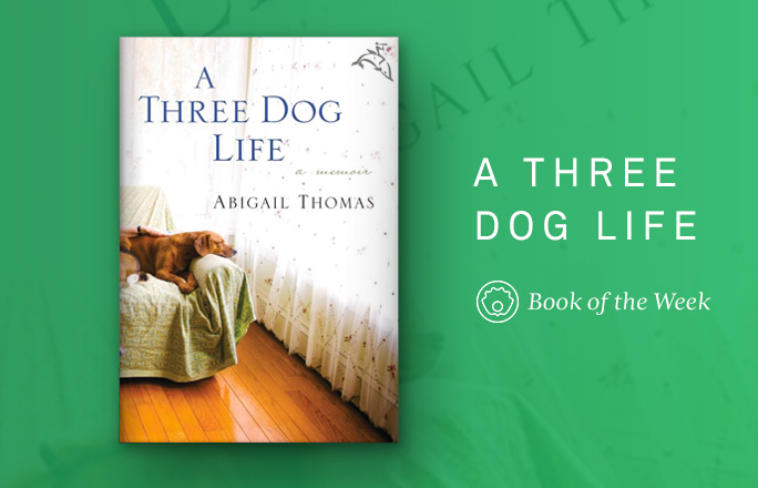 A Three Dog Life by Abigail Thomas | 9 Great Summer Reads For Animal Lovers | Life360 Tips A Three Dog Life by Abigail Thomas | 9 Great Summer Reads For Animal Lovers | Life360 Tips