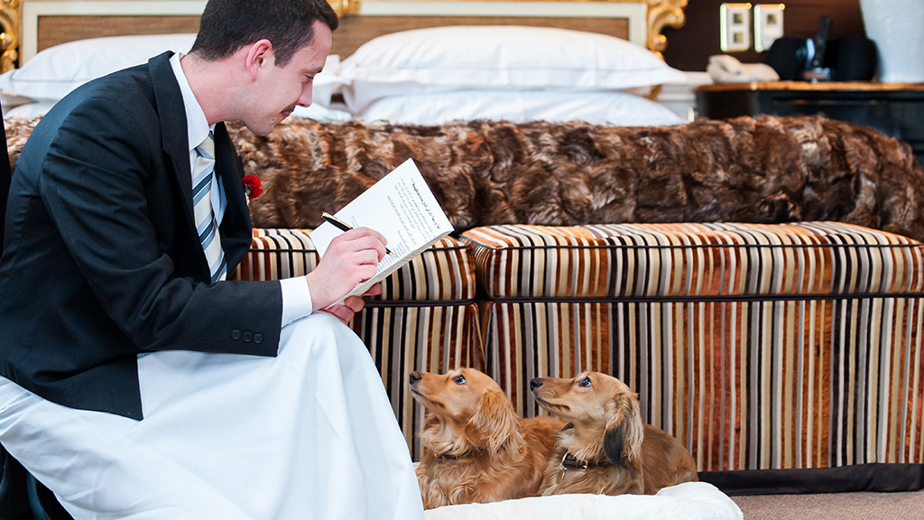 Top PetFriendly Hotels In The United States ilearneverything