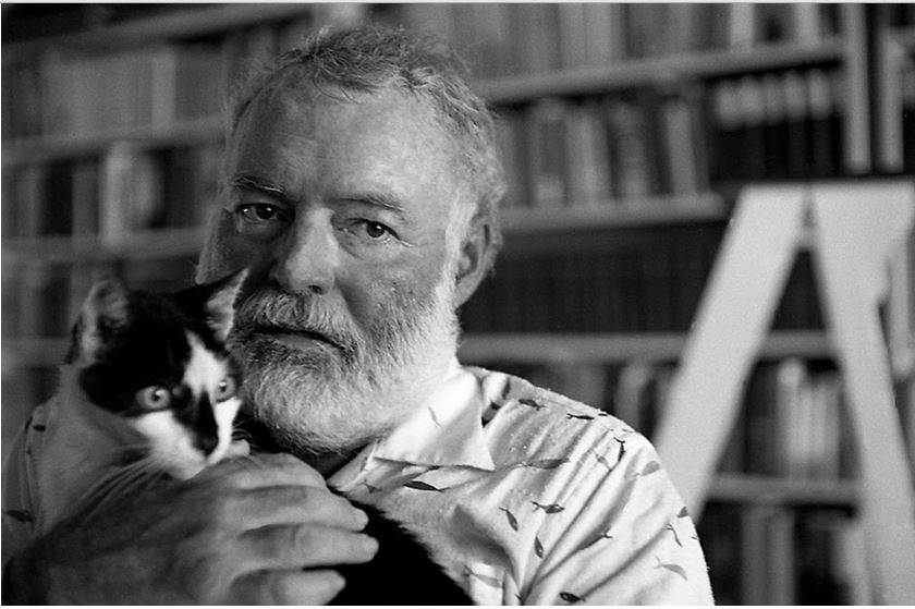 Snowball, the cat who owned Ernest Hemingway | Life 360 Tips
