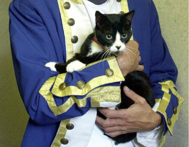 Trim, the cat who discovered Australia | Life 360 Tips