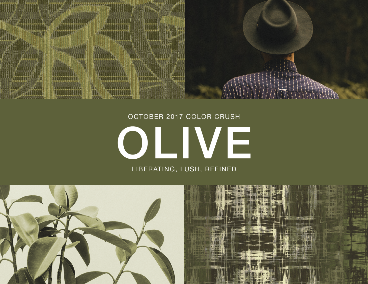 October Color Crush Olive