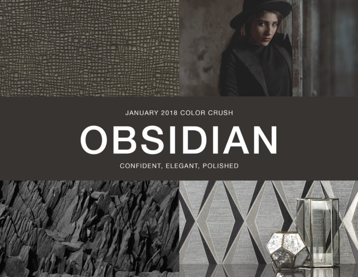 January Color Crush Obsidian LifeStyled by Stacy Garcia