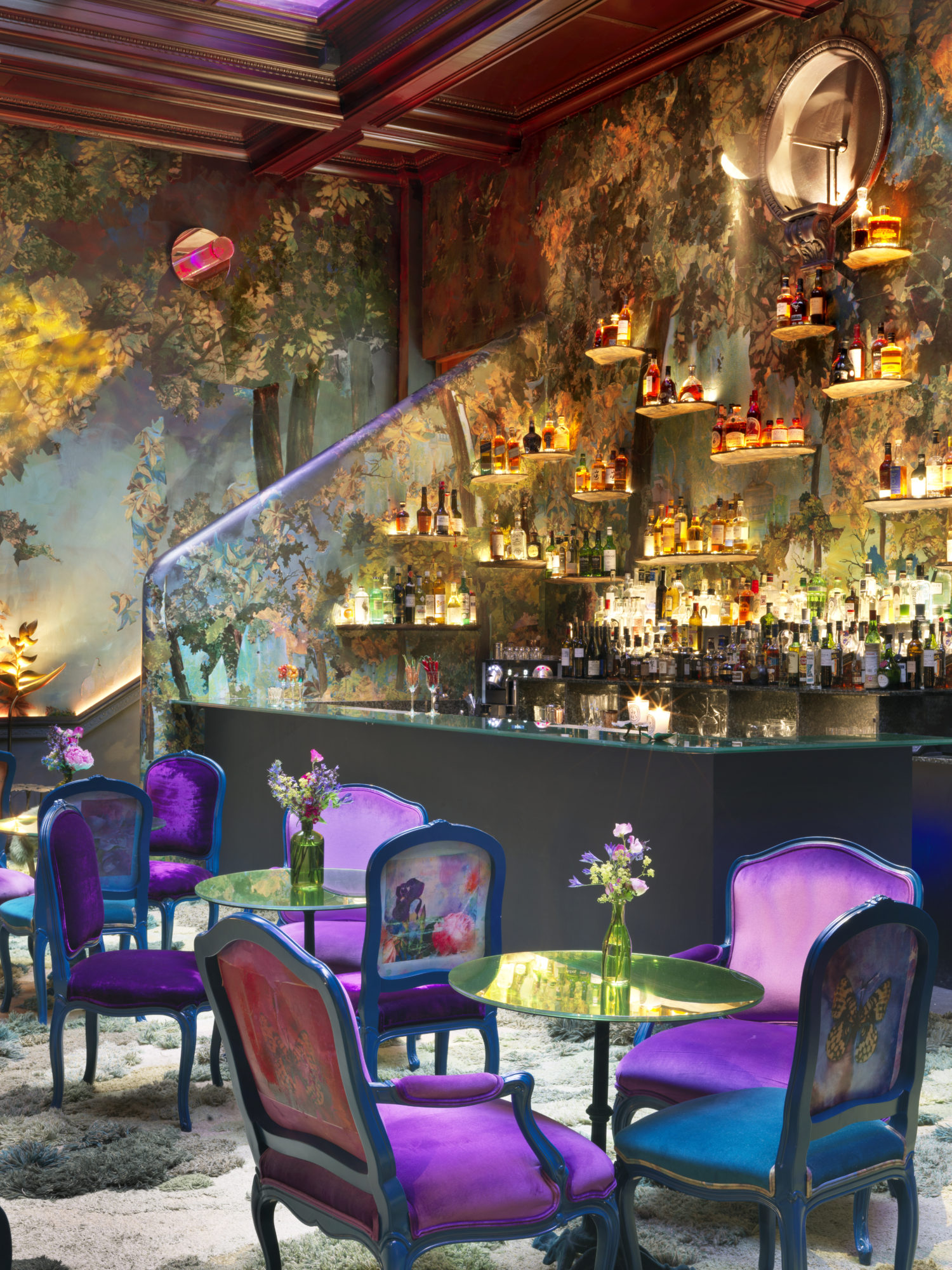 Skecth - Glade Photo by Ed Reeve