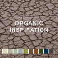 Wellness Trend: Organic Inspiration
