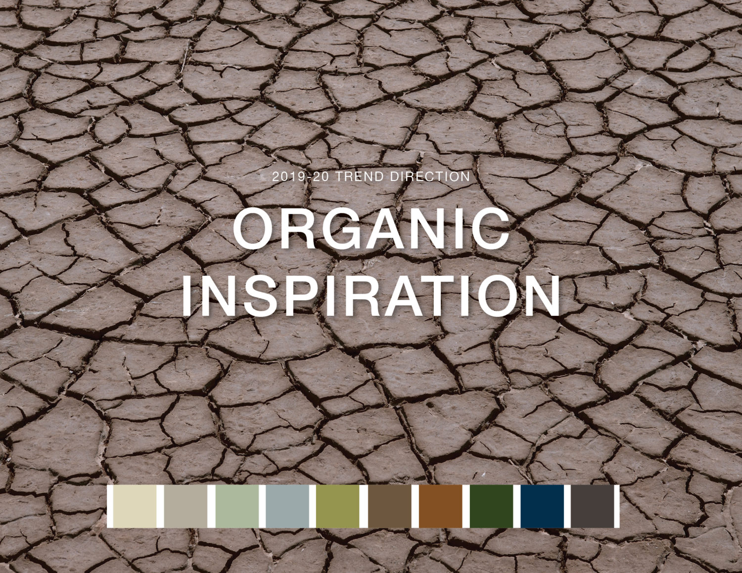 Wellness Trend: Organic Inspiration