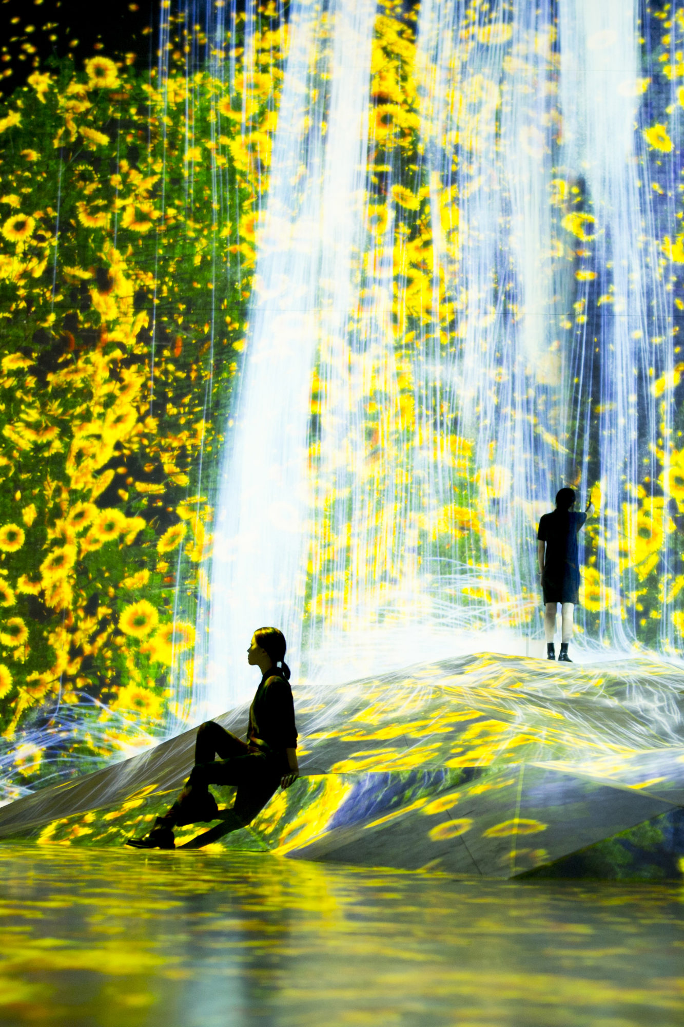 teamLab Borderless World - Universe of Water Particles on a Rock where People Gather