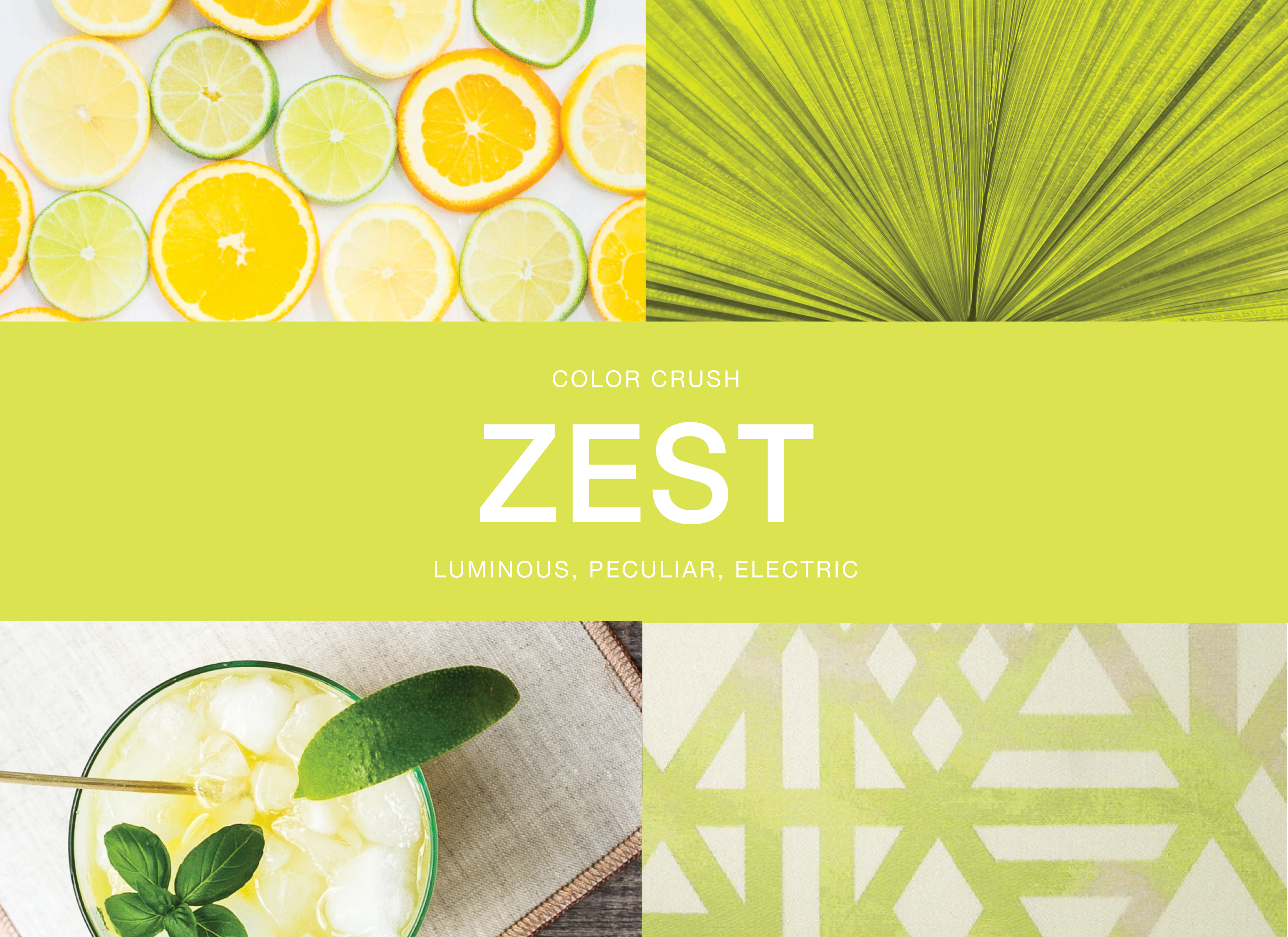 LifeStyled by Stacy Garcia Color Crush Zest