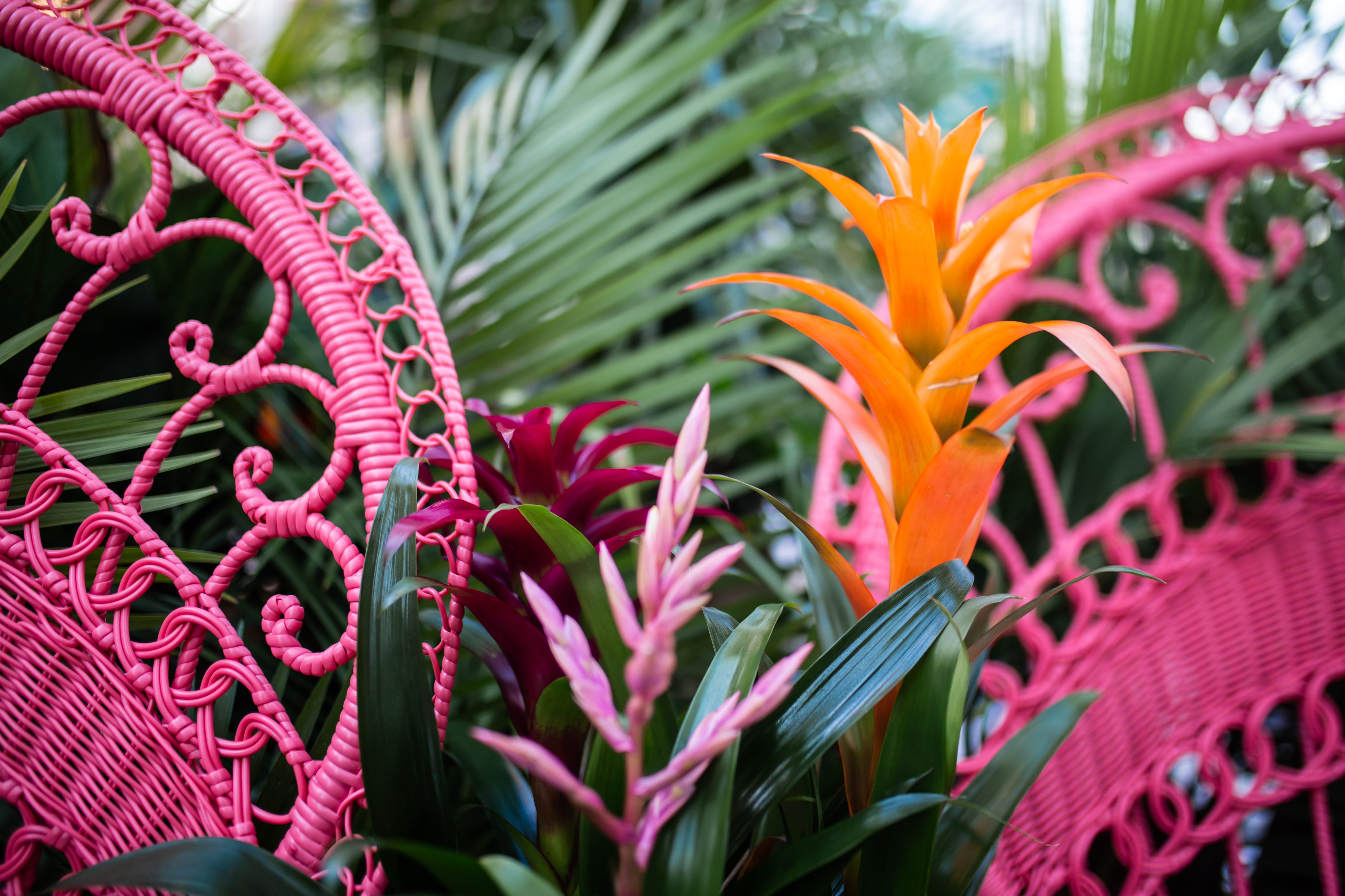 LifeStyled by Stacy Garcia Studio 11 Brings Summer to New York with