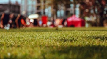 The Lawn Legacy